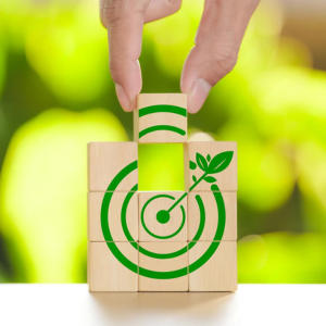 Director of Botaniq Nutra LLC